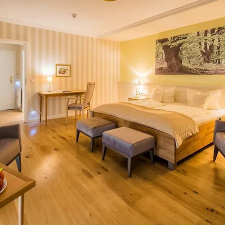 Hotel Ammann